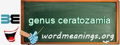 WordMeaning blackboard for genus ceratozamia